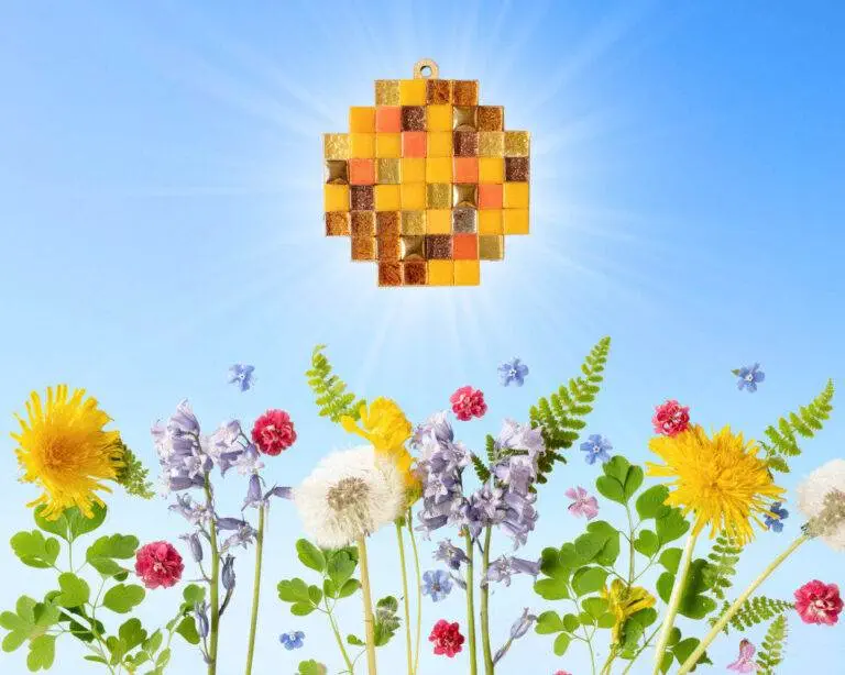 astronomy sun gazing event